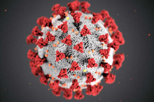 Image of single Covid virus
